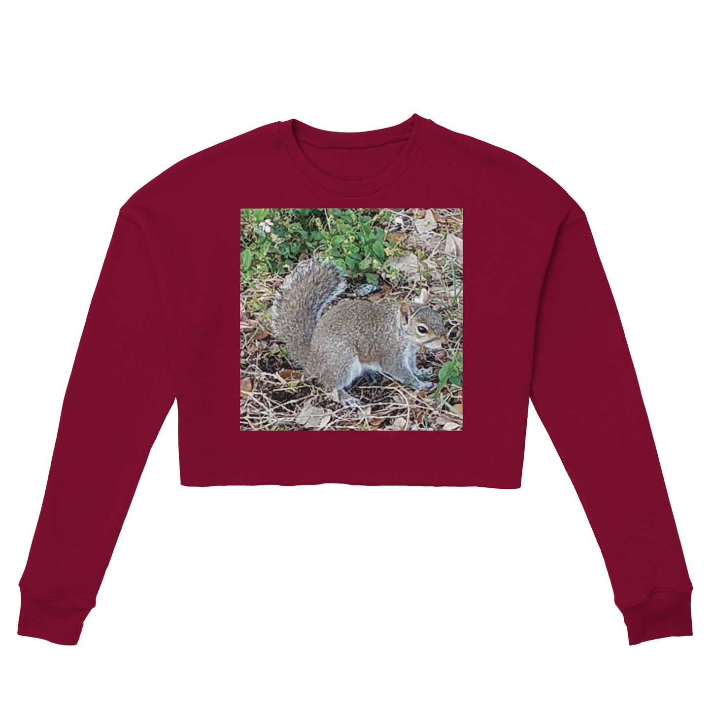 68bc3cdf-401a-4605-ac0c-656226a5160a