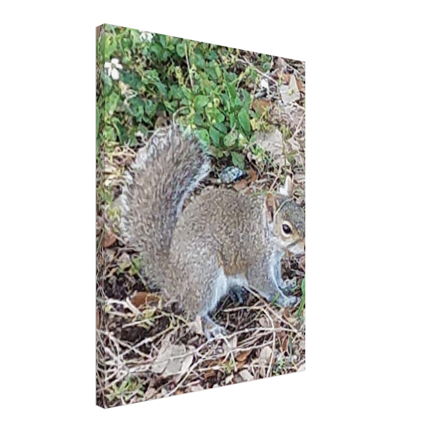 a14a3415-576c-4a33-a120-122ca7cd87f7